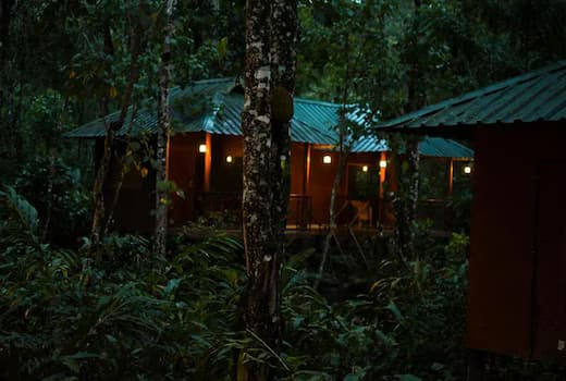 Khaya Gaze Nature Living