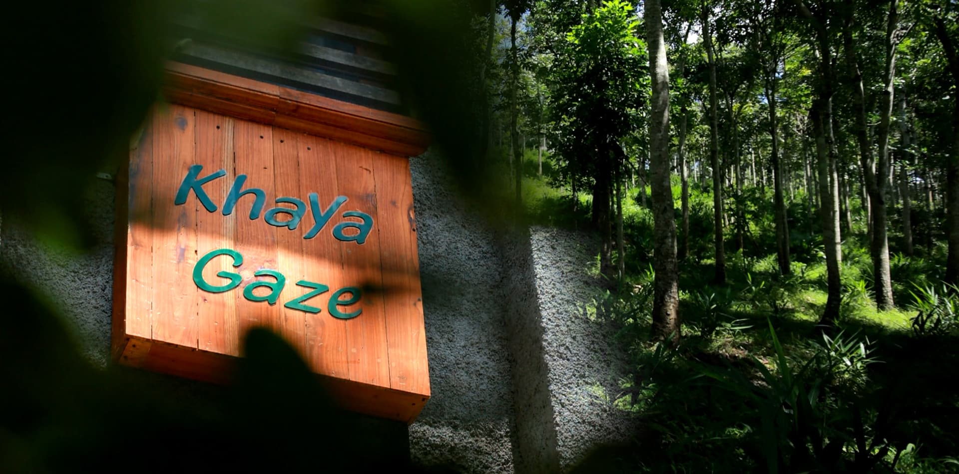 Kahya Gaze Medicinal Plantation Guest House Thekkady